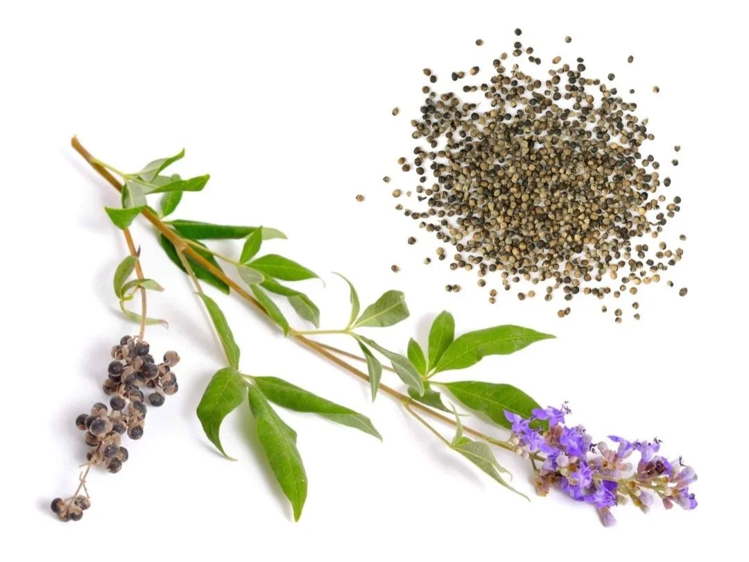 Harnessing the Power of Herbal Medicine
