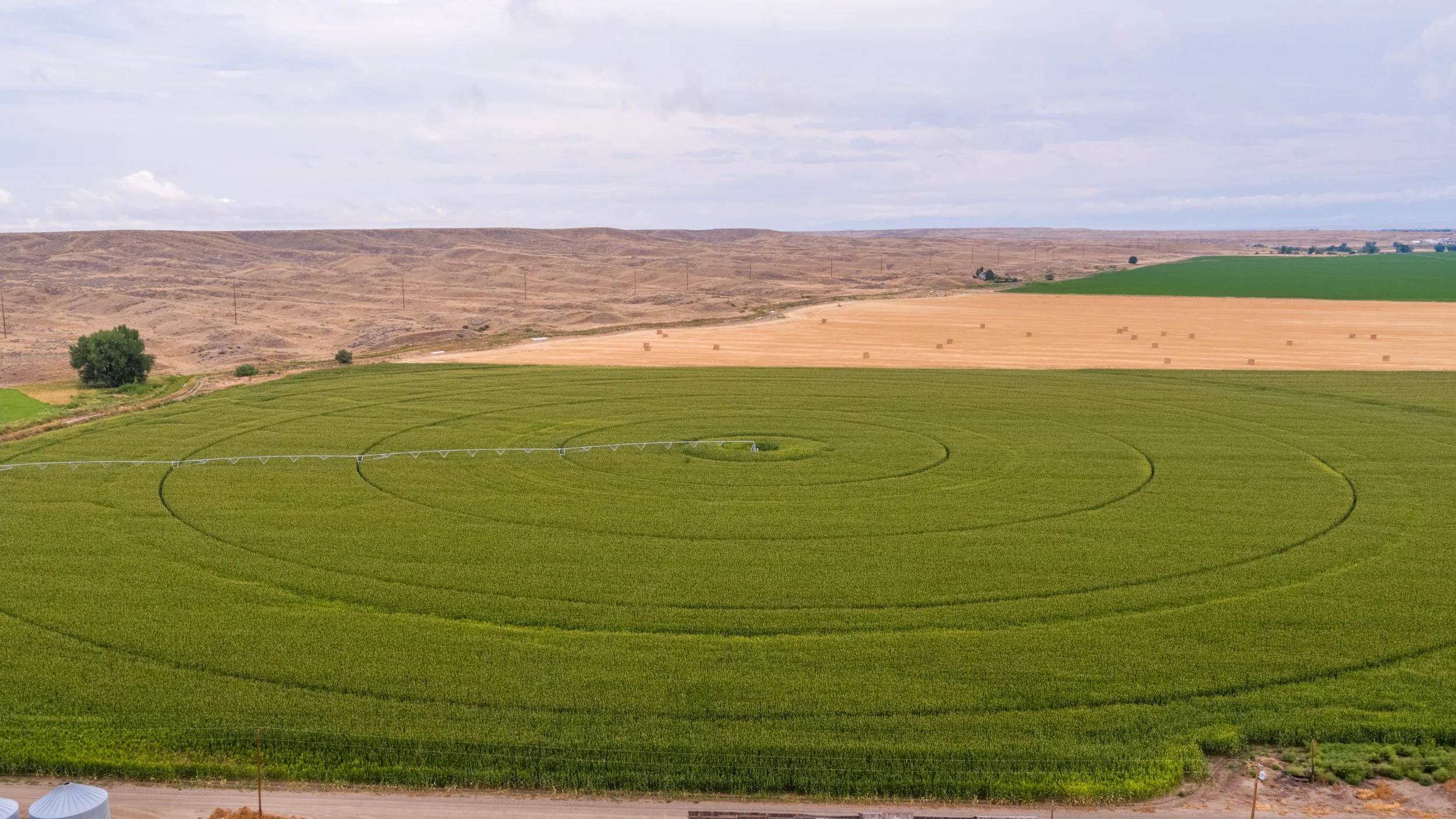 crops.jpg
