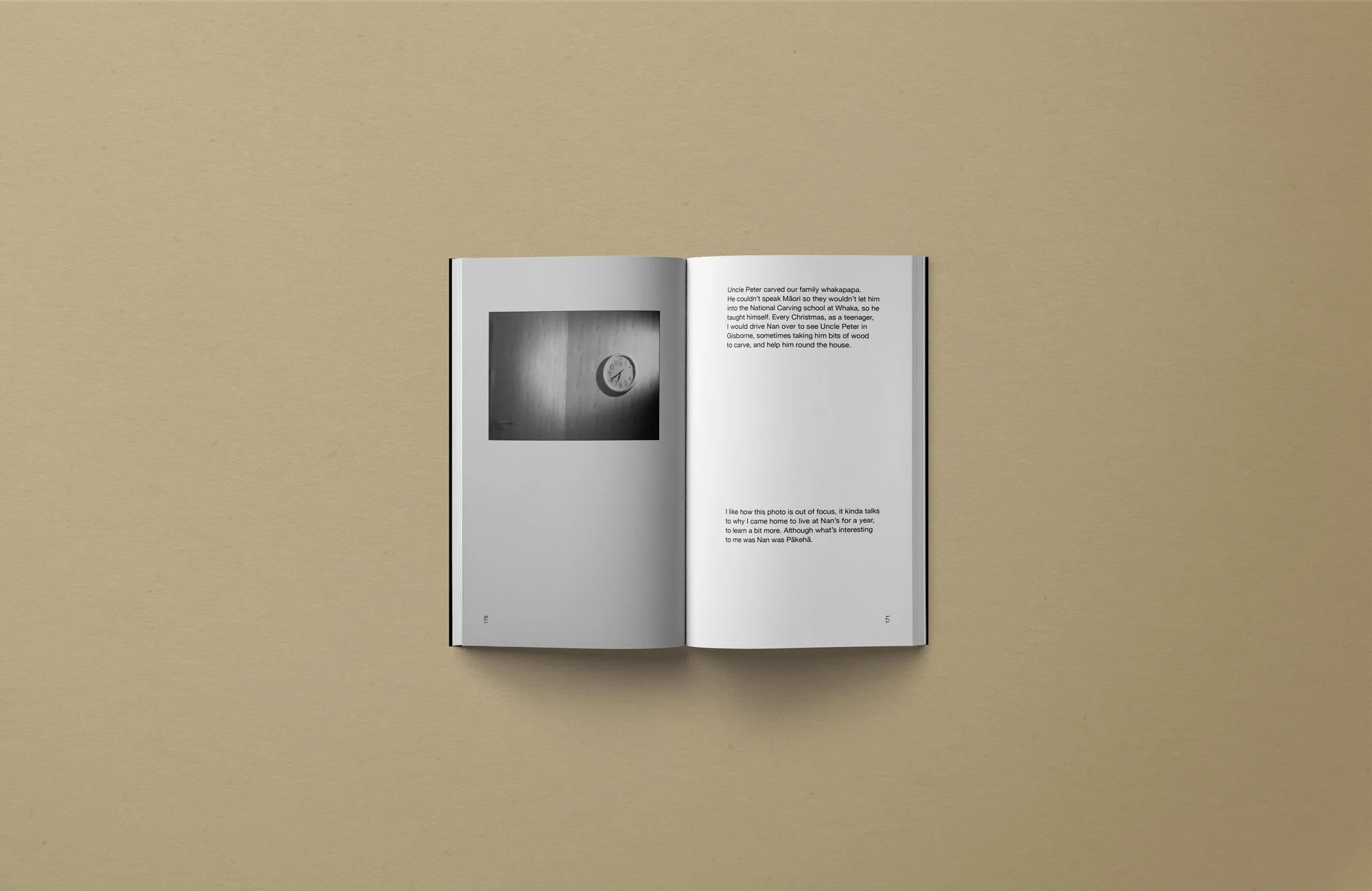ANAP-Mockup-Pages-19.jpg