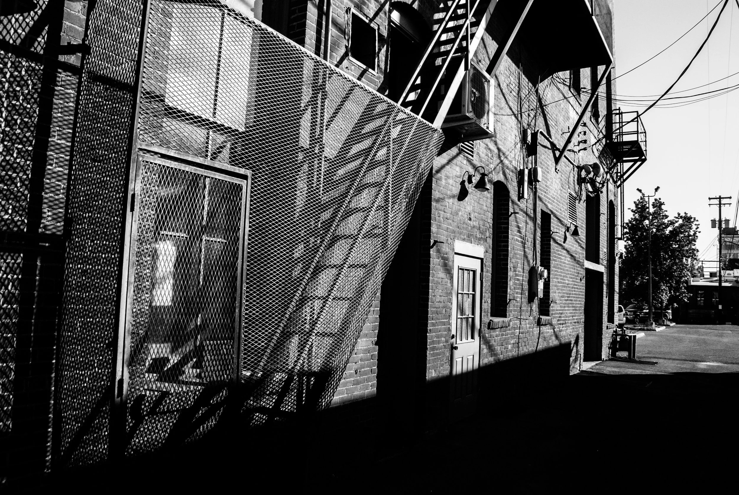 schnell_proj5_010.jpg