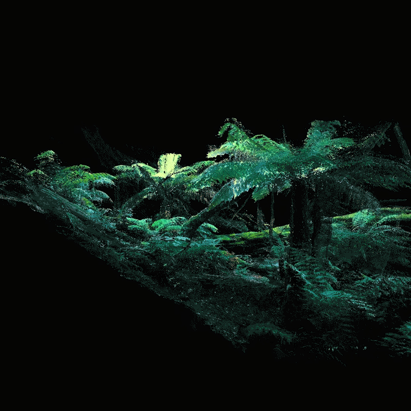 Digital Landscapes