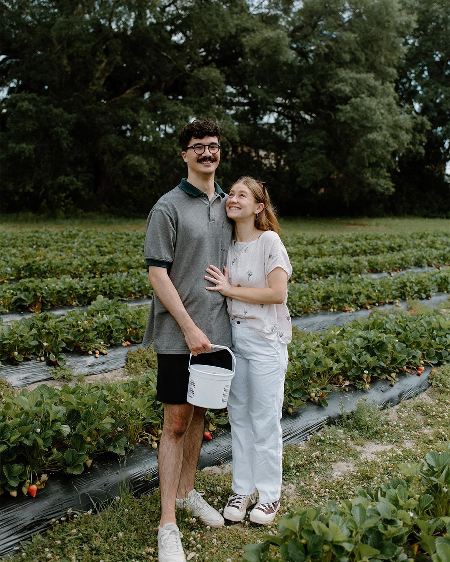 A strawberry field engagement 🍓 top of my list of cutest proposals to date, with the most adorable couple. It is hard to be sneaky when your friends get engaged but I think we did pretty good. So happy for Michael + Sam. Especially getting to be apa