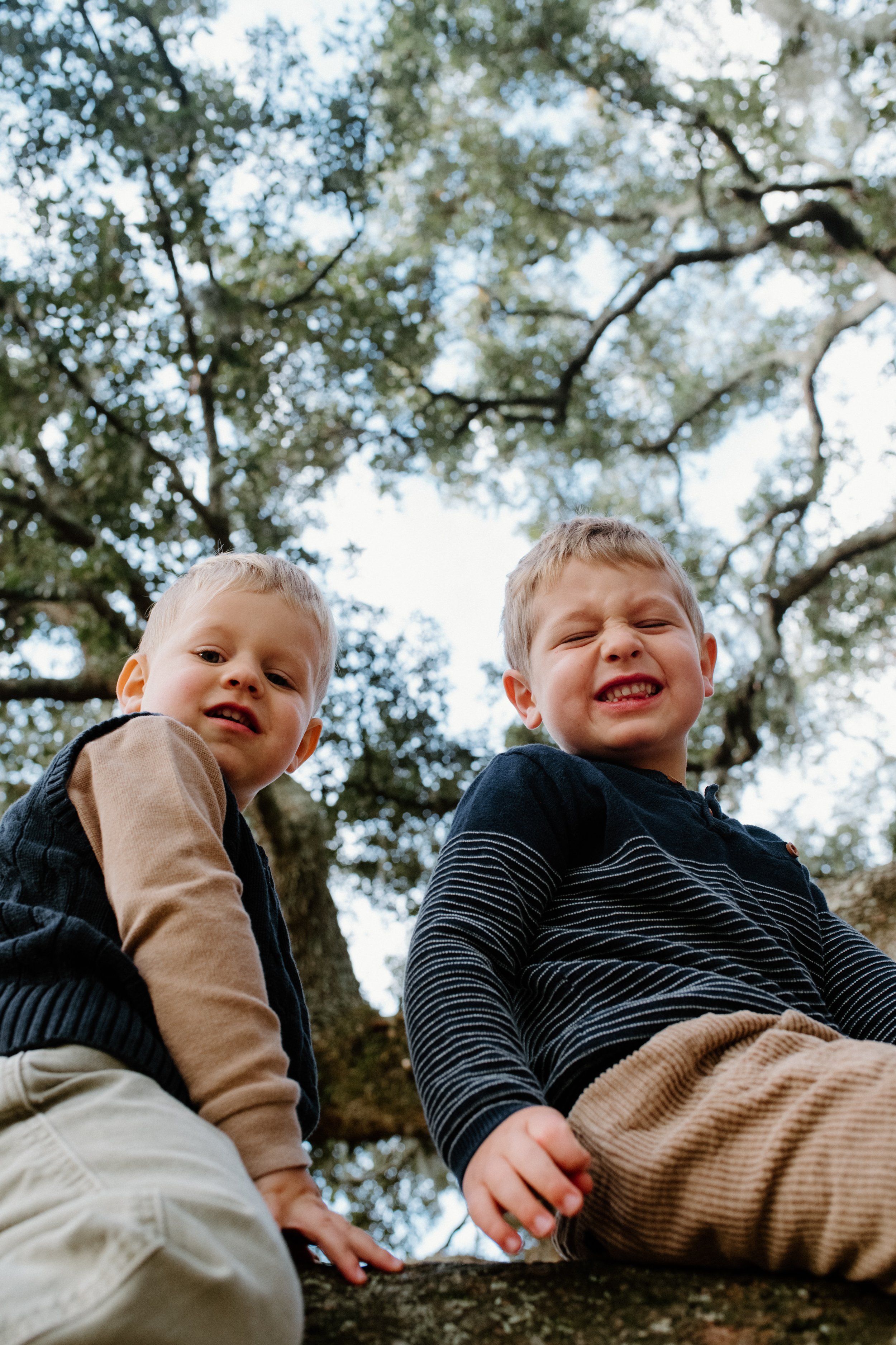 A Hampton Park Adventure