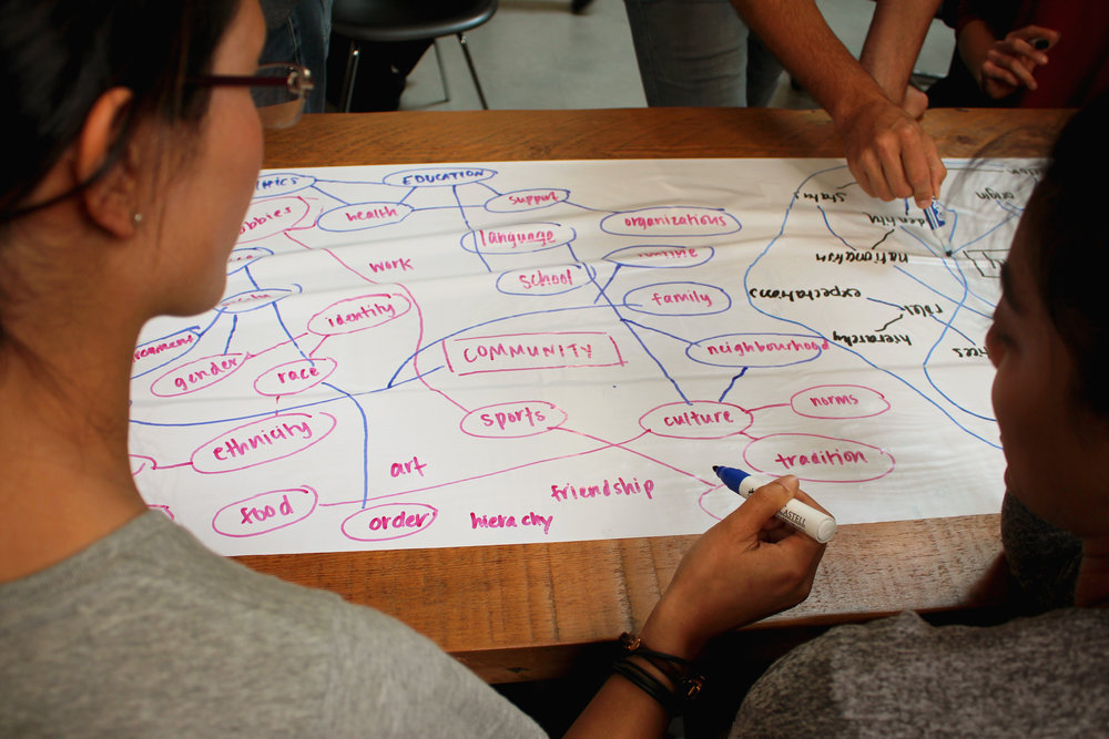Systems Mapping exercise