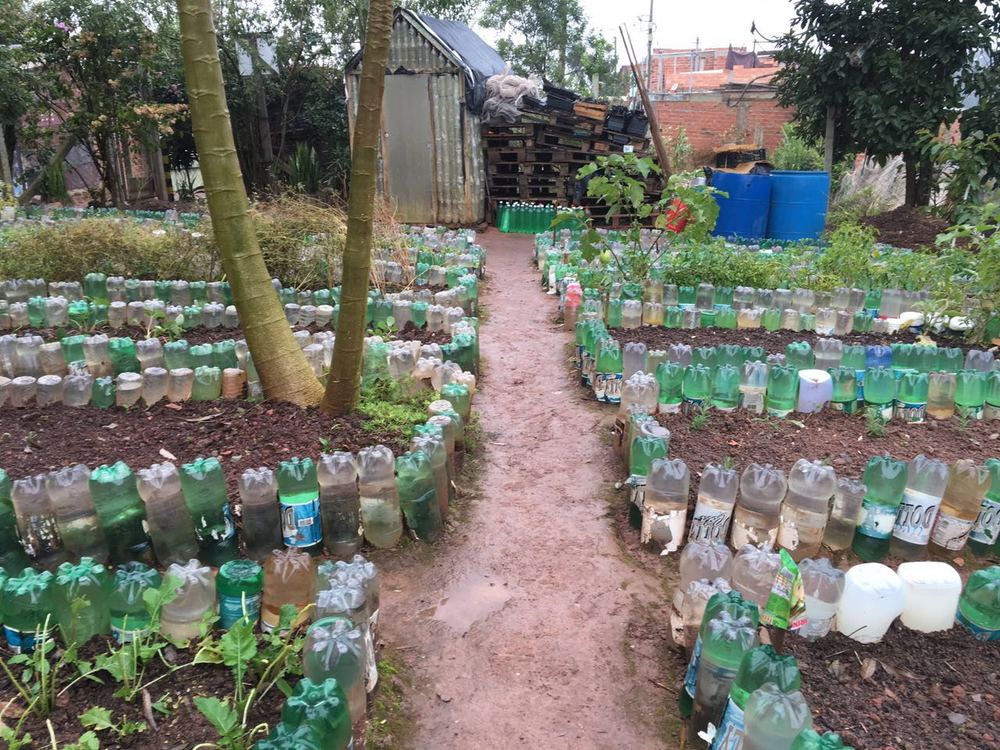The amazing community garden