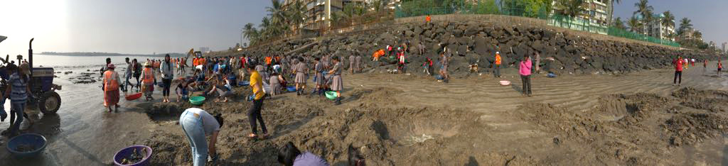 beach clean.jpeg