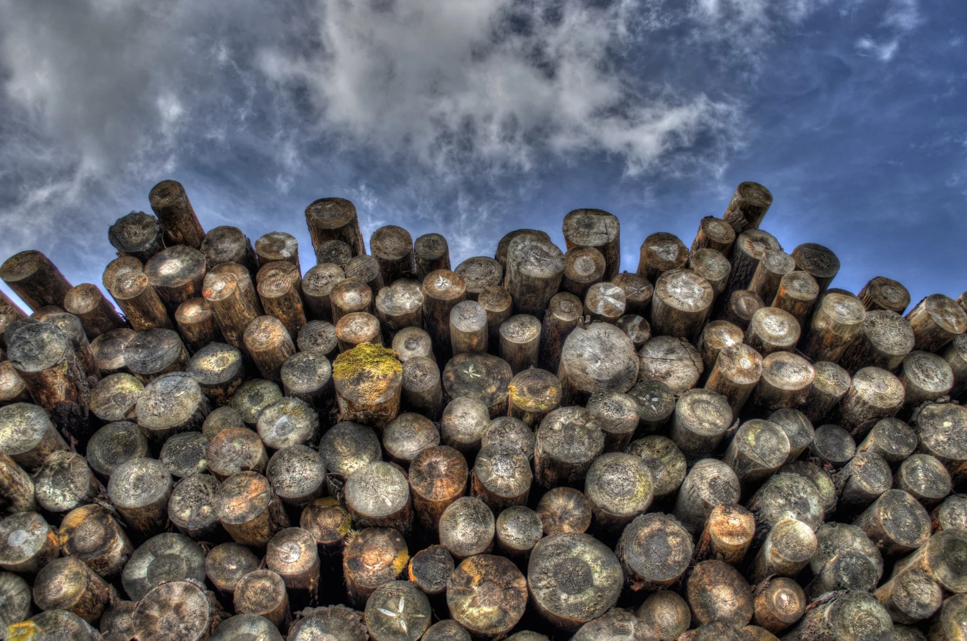wood.jpg