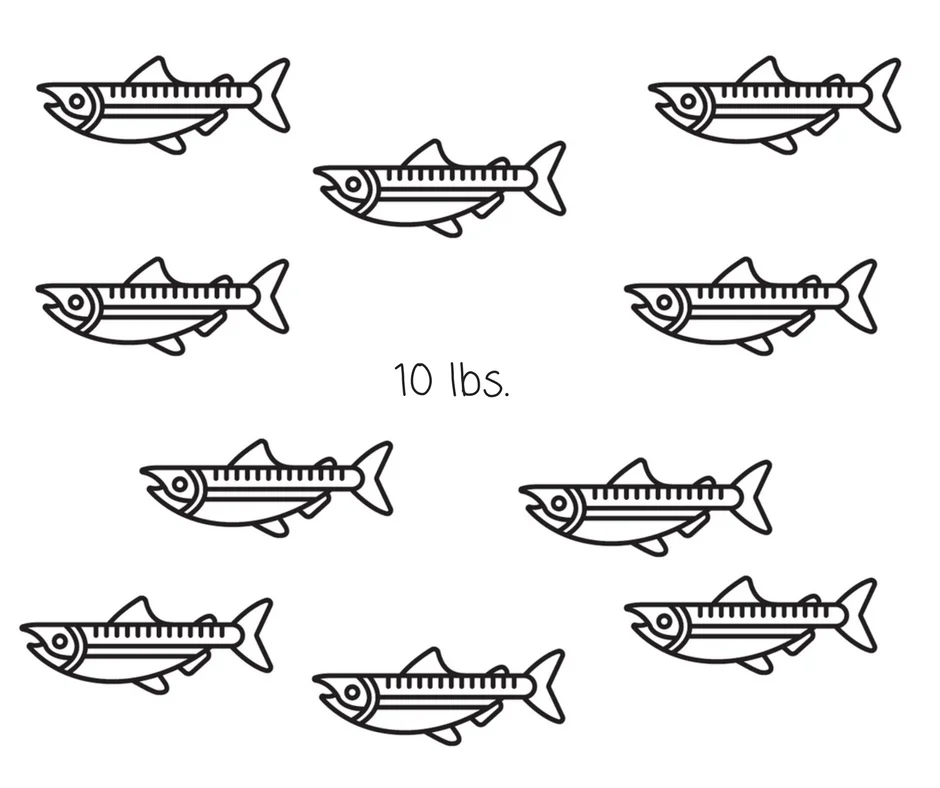 10 lbs..jpg