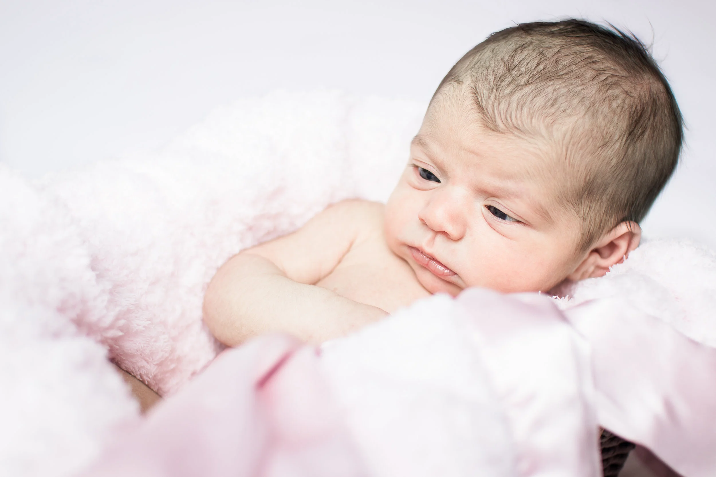 Ellie-5.jpg