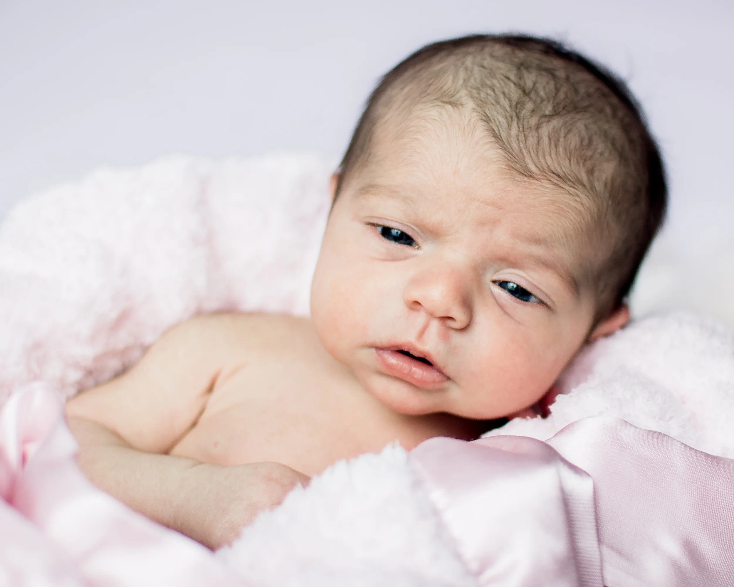 Ellie-6.jpg