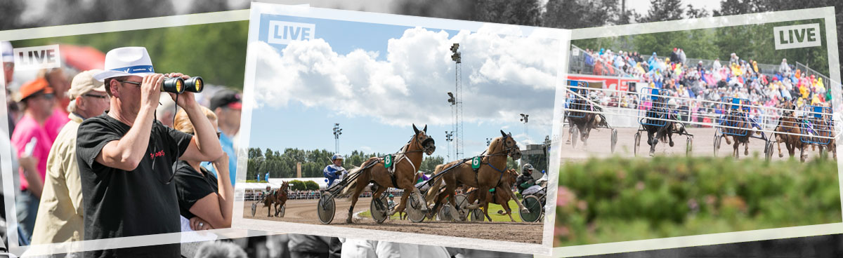 Ravit_TVssa_yla_1200x518px.jpg