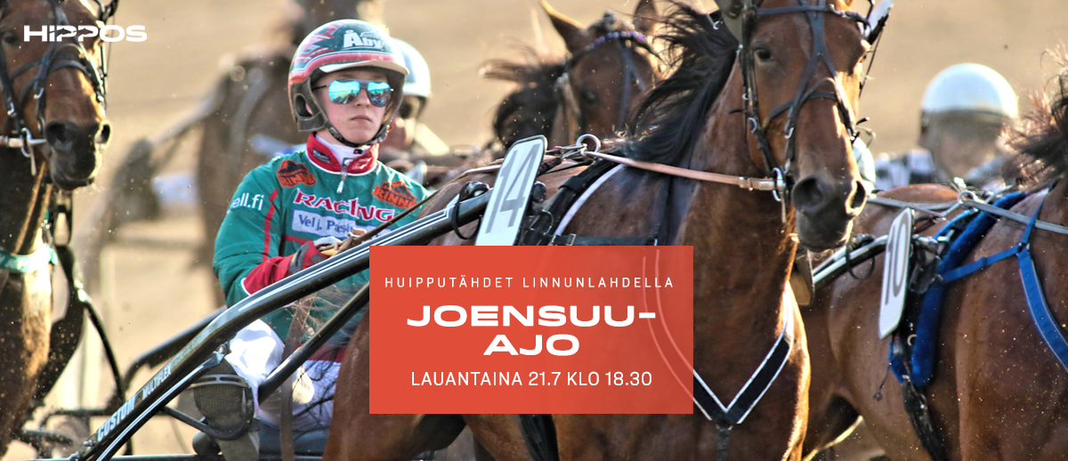 joensuu1-kesäravi.png