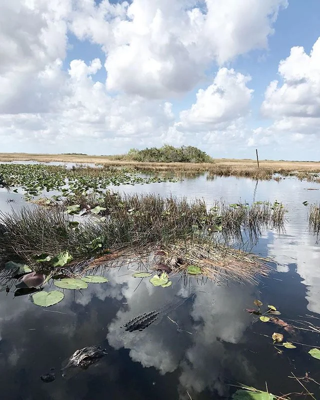 Happy #WorldWetlandsDay from the Florida Everglades!