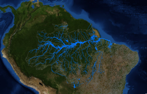 citizen science for the amazon.png