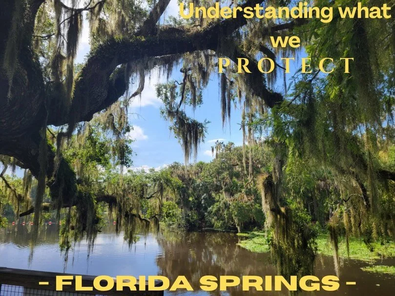Florida&rsquo;s freshwater springs are special places because they provide crystal-clear, naturally flowing water that supports unique ecosystems and wildlife while connecting people to the landscape.
We&rsquo;re studying Florida&rsquo;s freshwater s