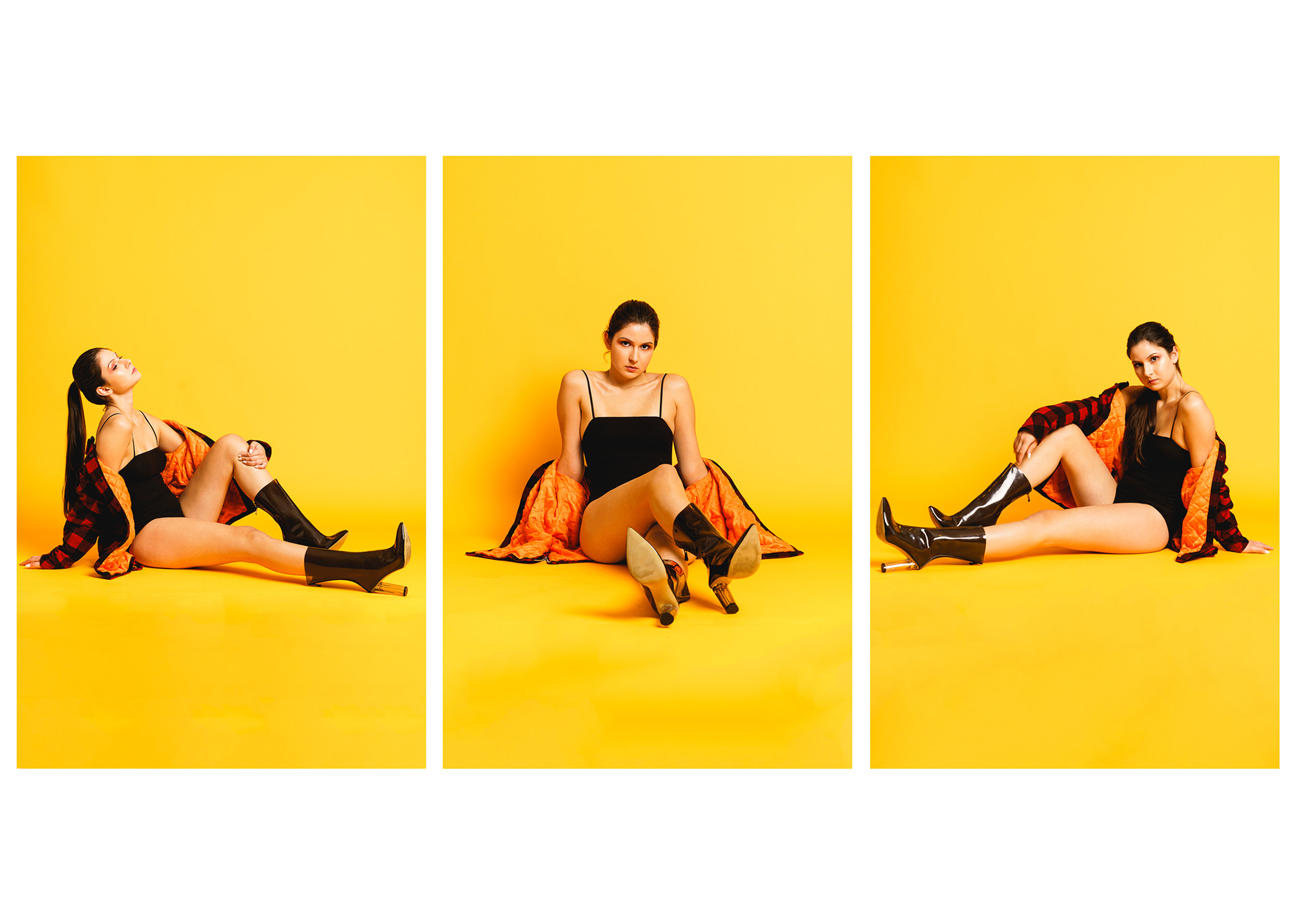Daisy Triptych.jpg