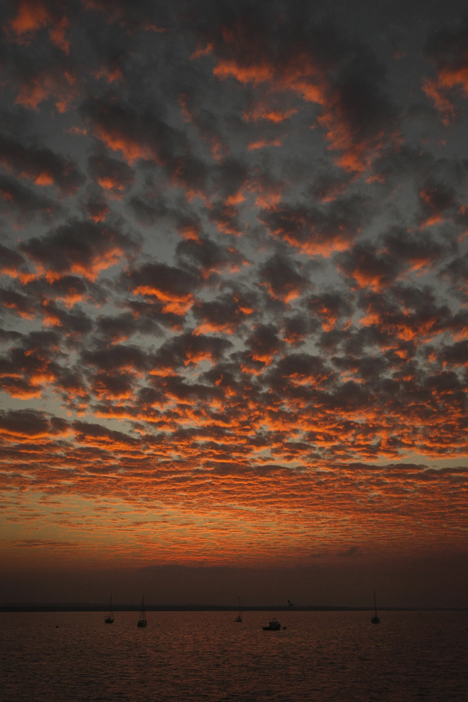 A40K7804_Website_1500px.jpg