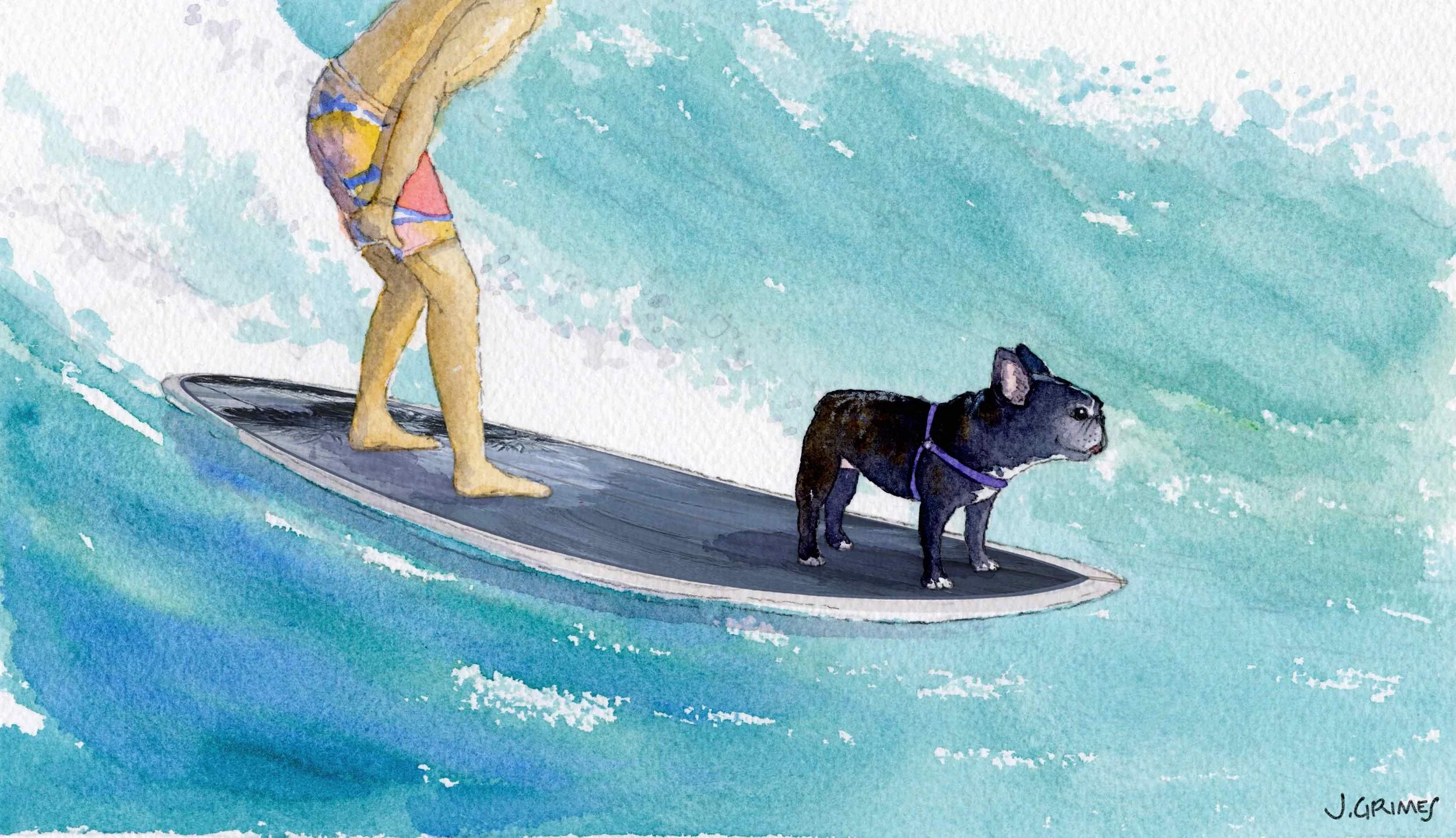 NIS surfing web.jpg