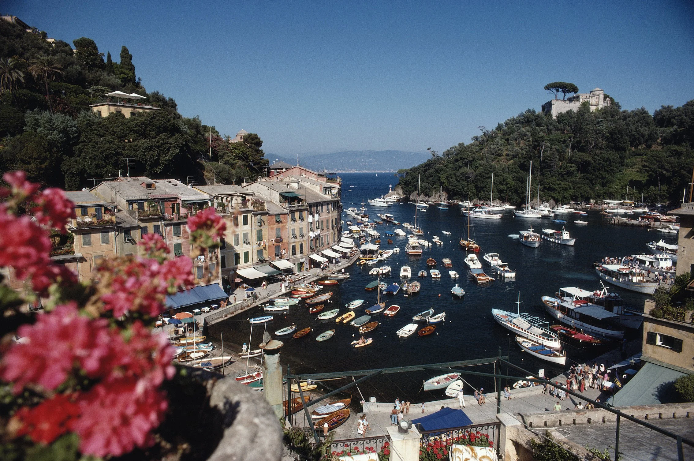 Portofino Harbour Area.jpg
