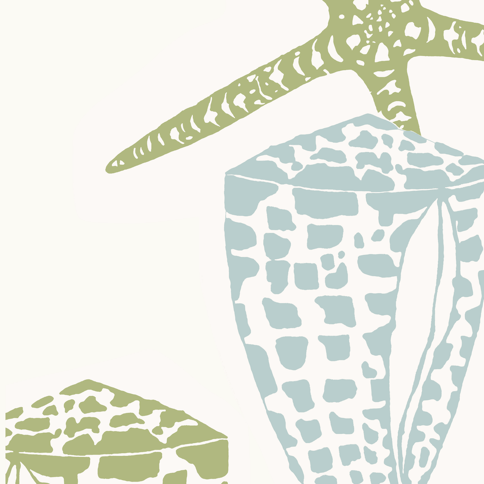 Shell.png