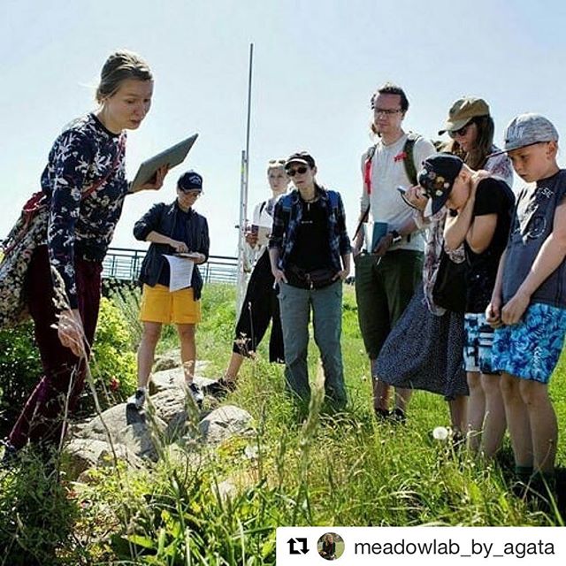 Summertime and you have a 3-course meal just outside your door🍀 Join @meadowlab_by_agata and a workshop on wild edible plants on sunday. Info in bio. #stpln #workshop #edibleplant #cookingtogether
