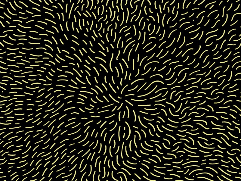 Hello Cass – an easier way to talk about family and sexual violence.