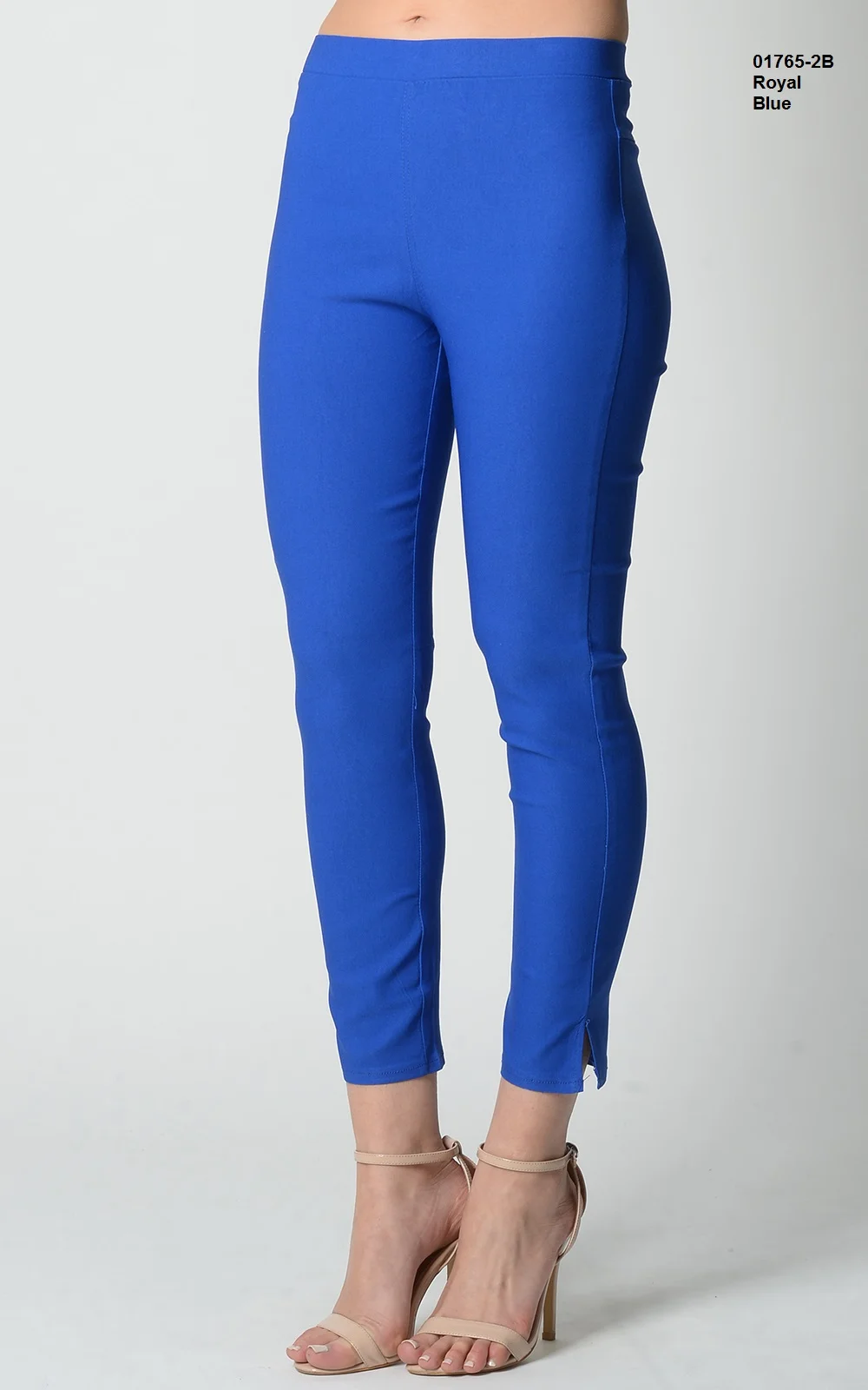 01765-2B-Royal Blue.JPG