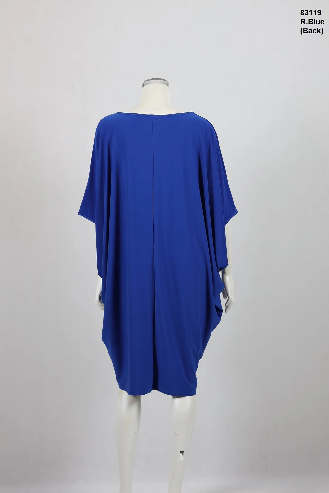 83119-R.Blue-Back.JPG