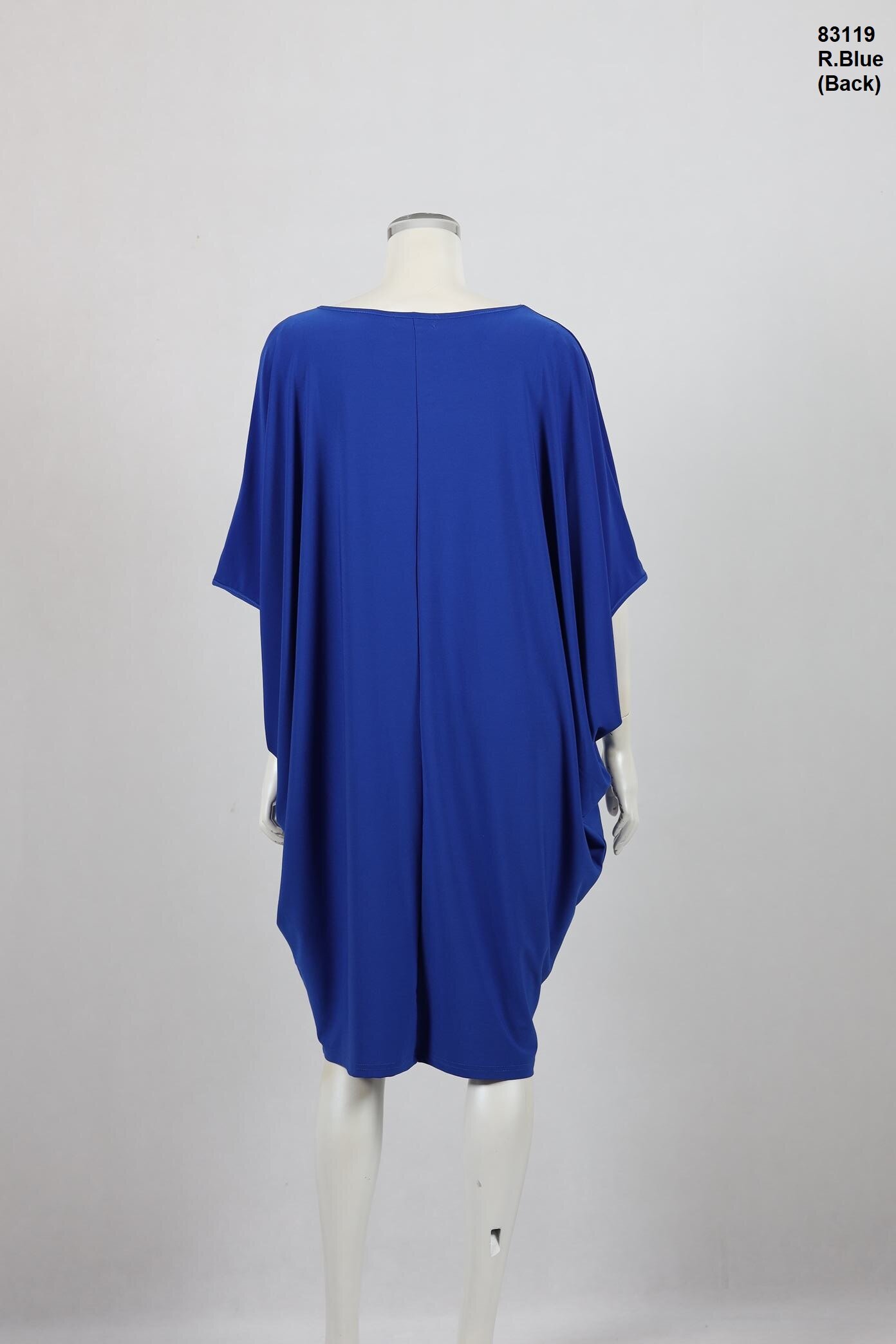 83119-R.Blue-Back.JPG