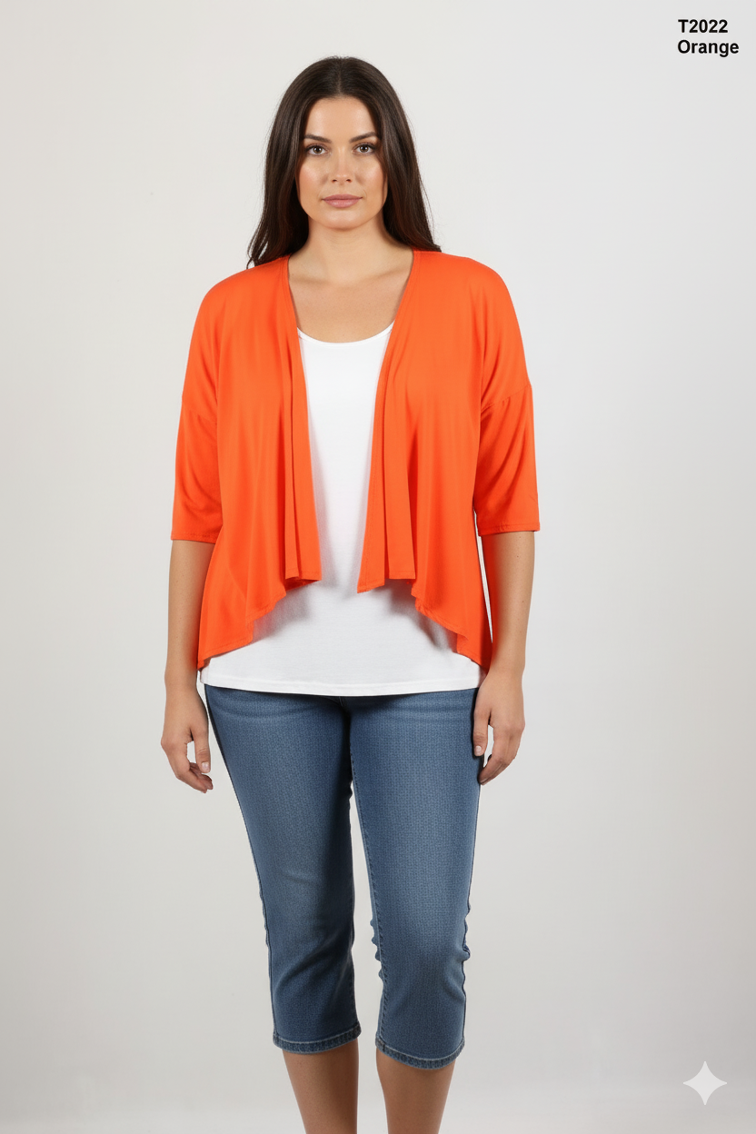 T2022-Orange.png