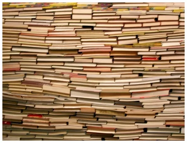 book image.jpg