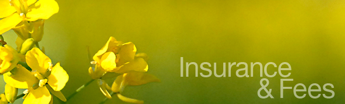 background-insurance-fees.jpg
