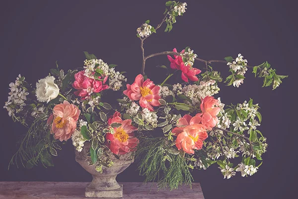 emmadaviesphotography--2_Lightroom.jpg