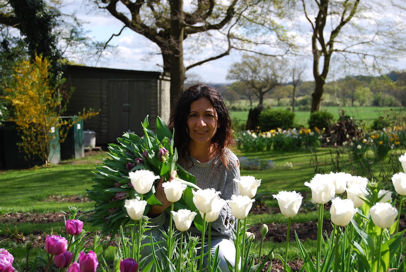 Picking Tulips earlier this year at our cutting patch.....Image Urban Flower Farmer