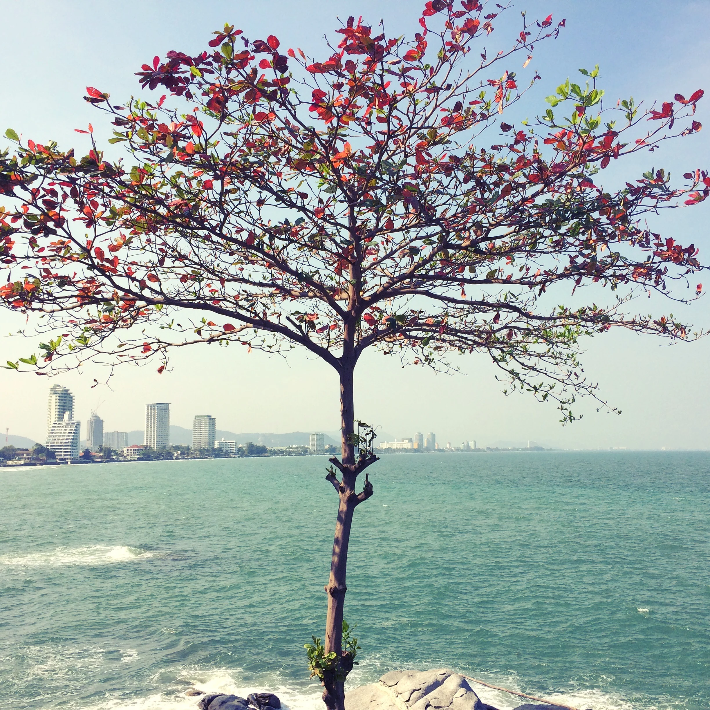 …. Hua Hin, Thailand .. หัวหิน, ประเทศไทย ….