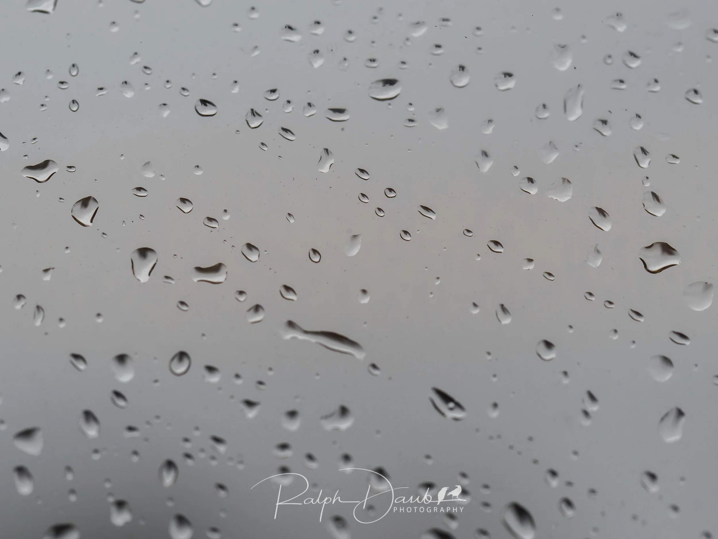 Cold drizzles in Portland, Oregon