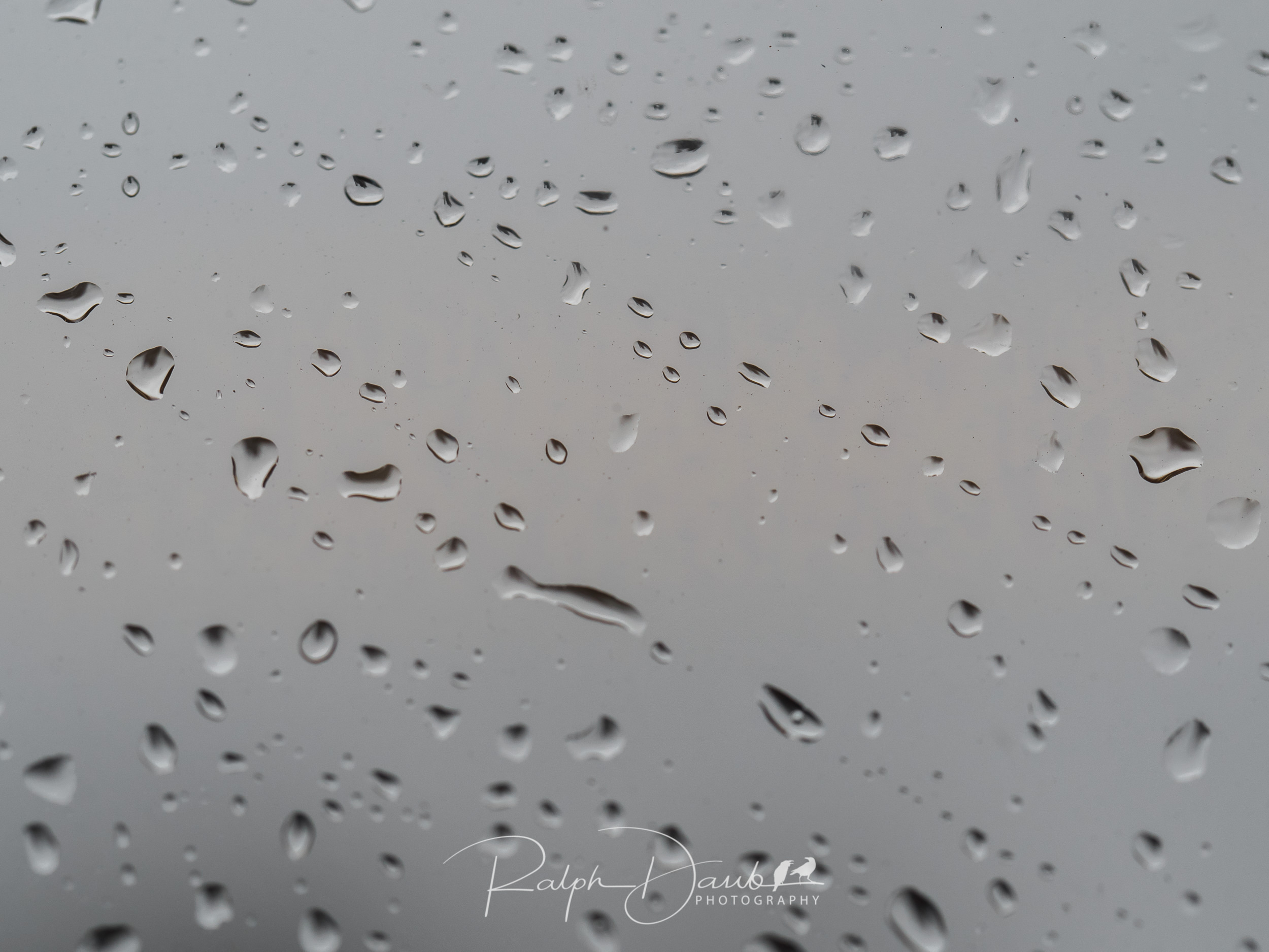 Cold drizzles in Portland, Oregon