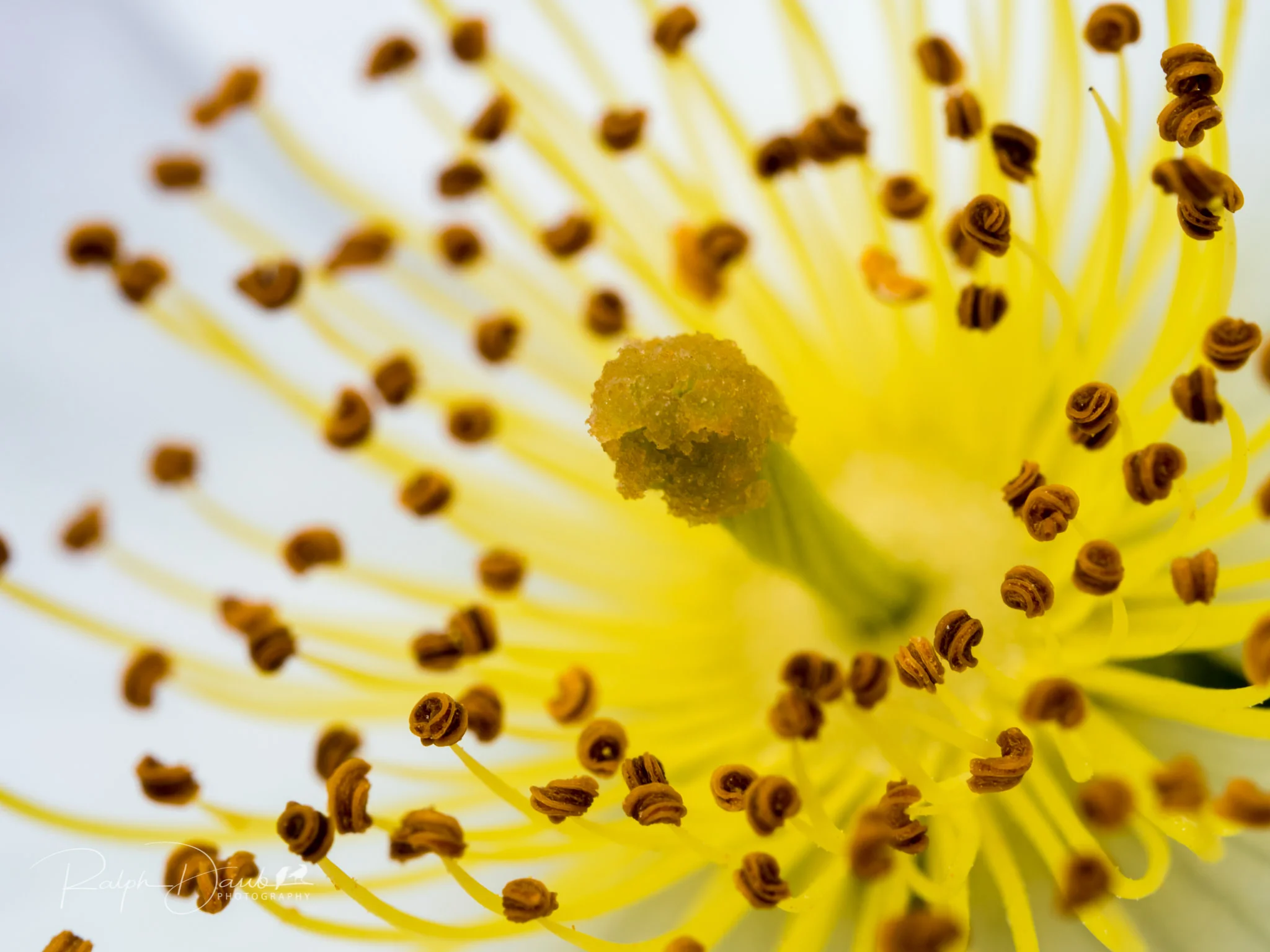 2018-05-19 - PDX Squared (Day 2) - 12h08m.jpg