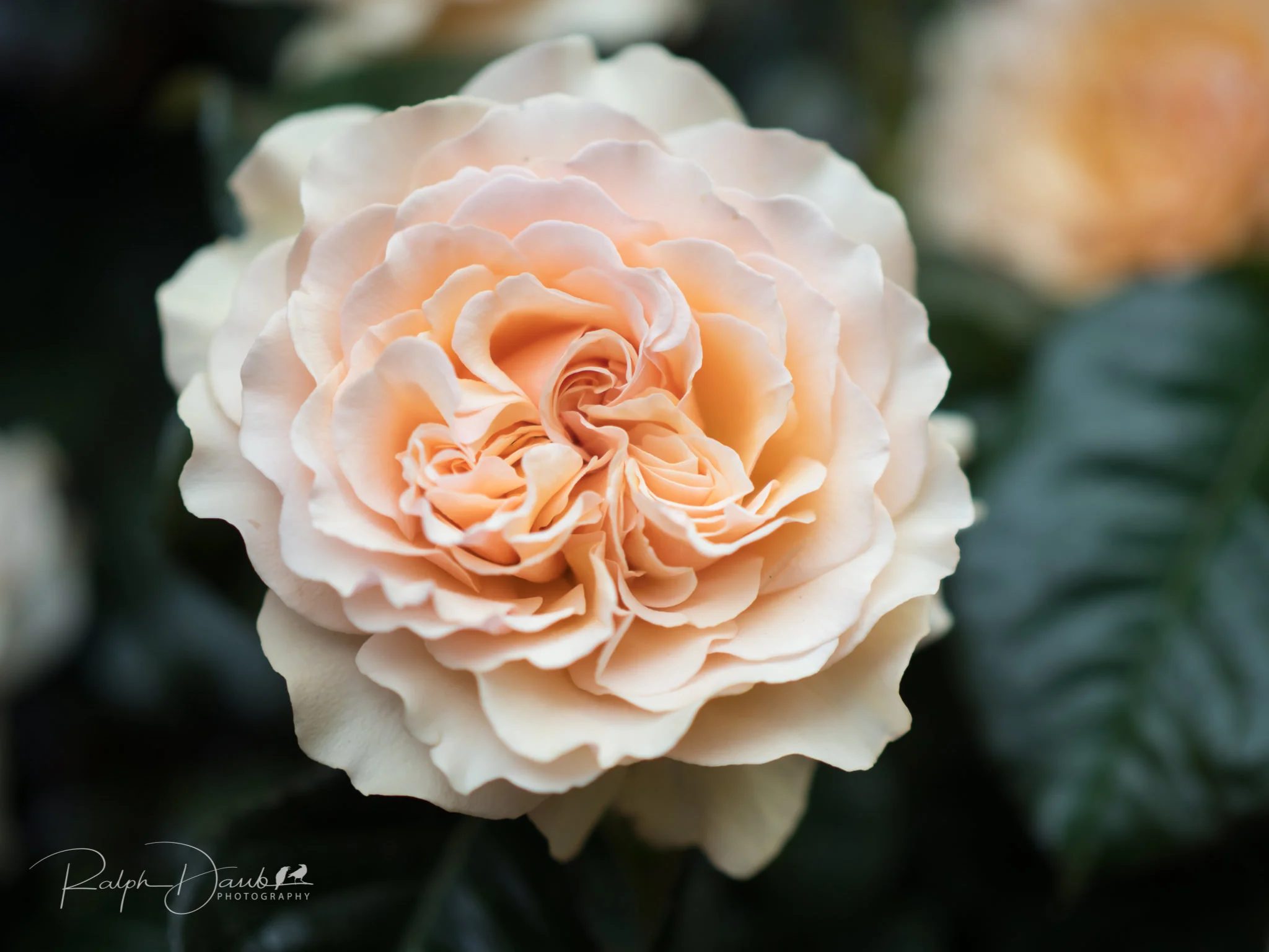 2018-05-19 - PDX Squared (Day 2) - 10h47m.jpg