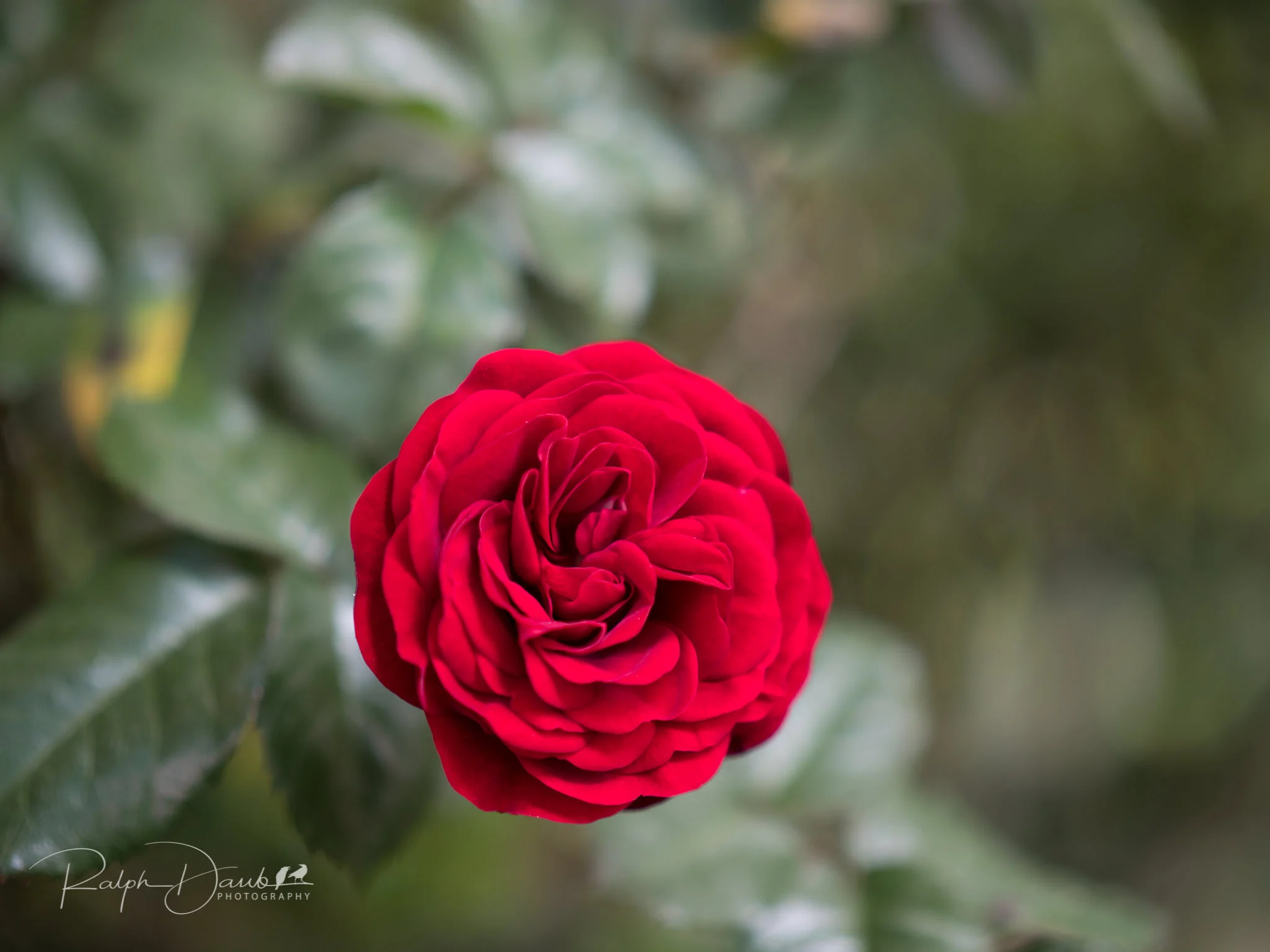 2018-05-19 - PDX Squared (Day 2) - 10h27m.jpg