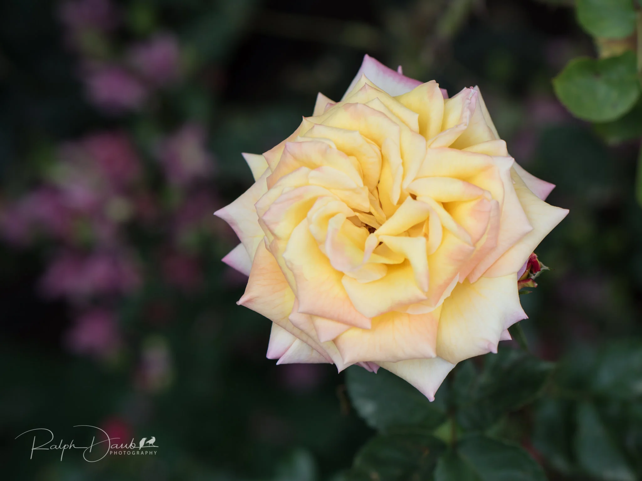 2018-05-19 - PDX Squared (Day 2) - 11h00m.jpg