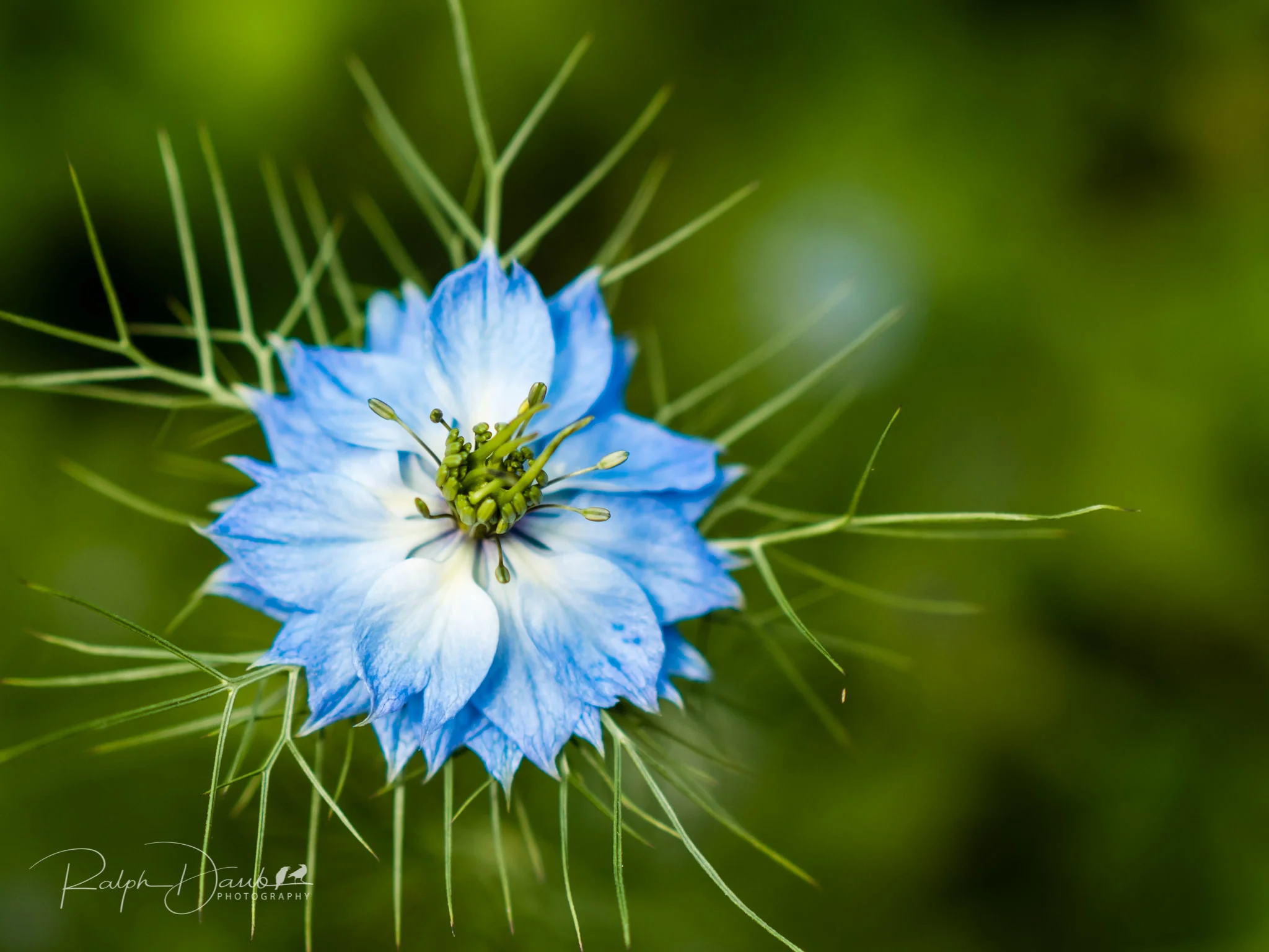 2018-05-19 - PDX Squared (Day 2) - 13h17m.jpg