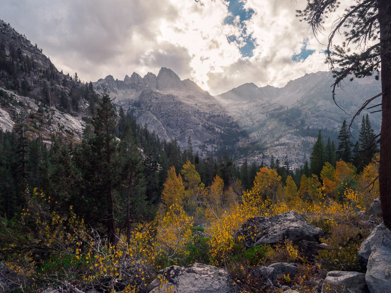RALPH_DAUB-JMT-11-20161002-17h02m19s.jpg