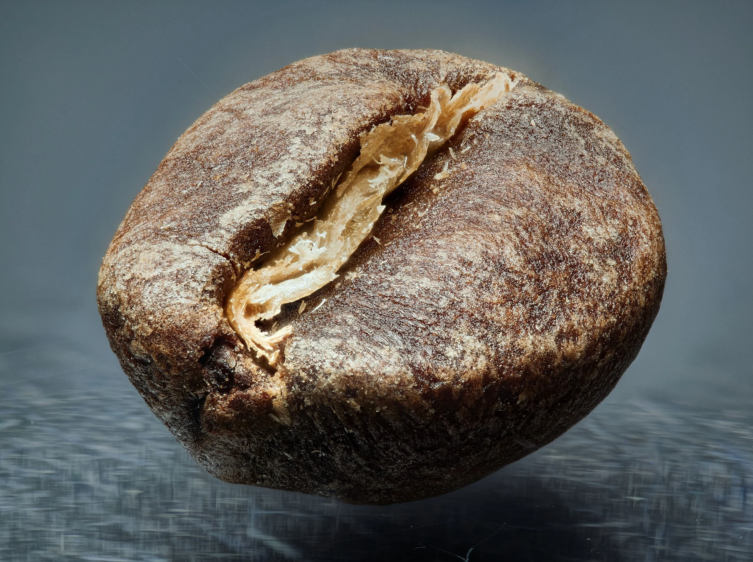 1687-RALPH_DAUB-2021-05-02-191837-74793 Helicon (C,Smoothing1).jpg