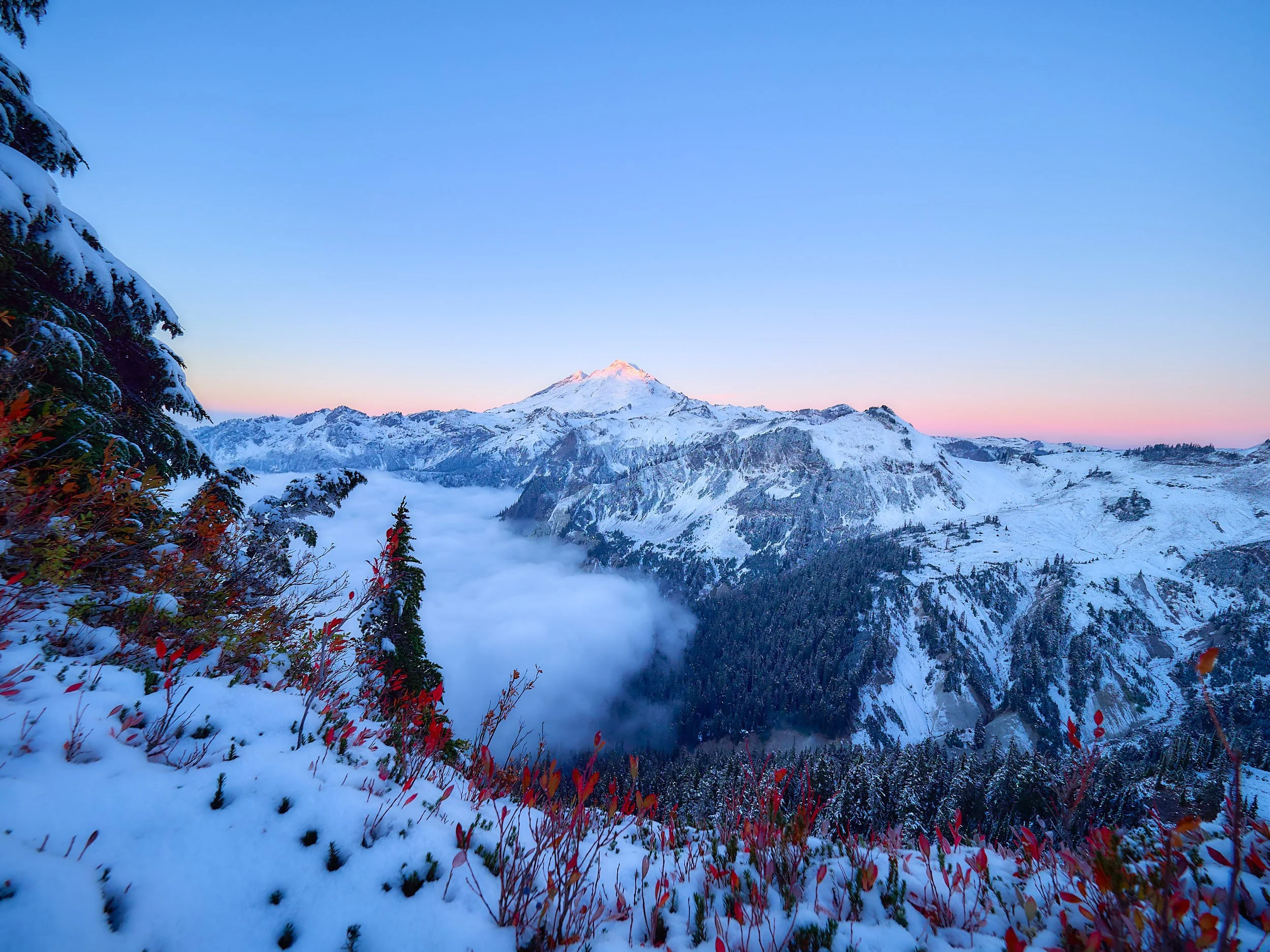 RALPH_DAUB-2022-10-23-073846-120994 1.jpg