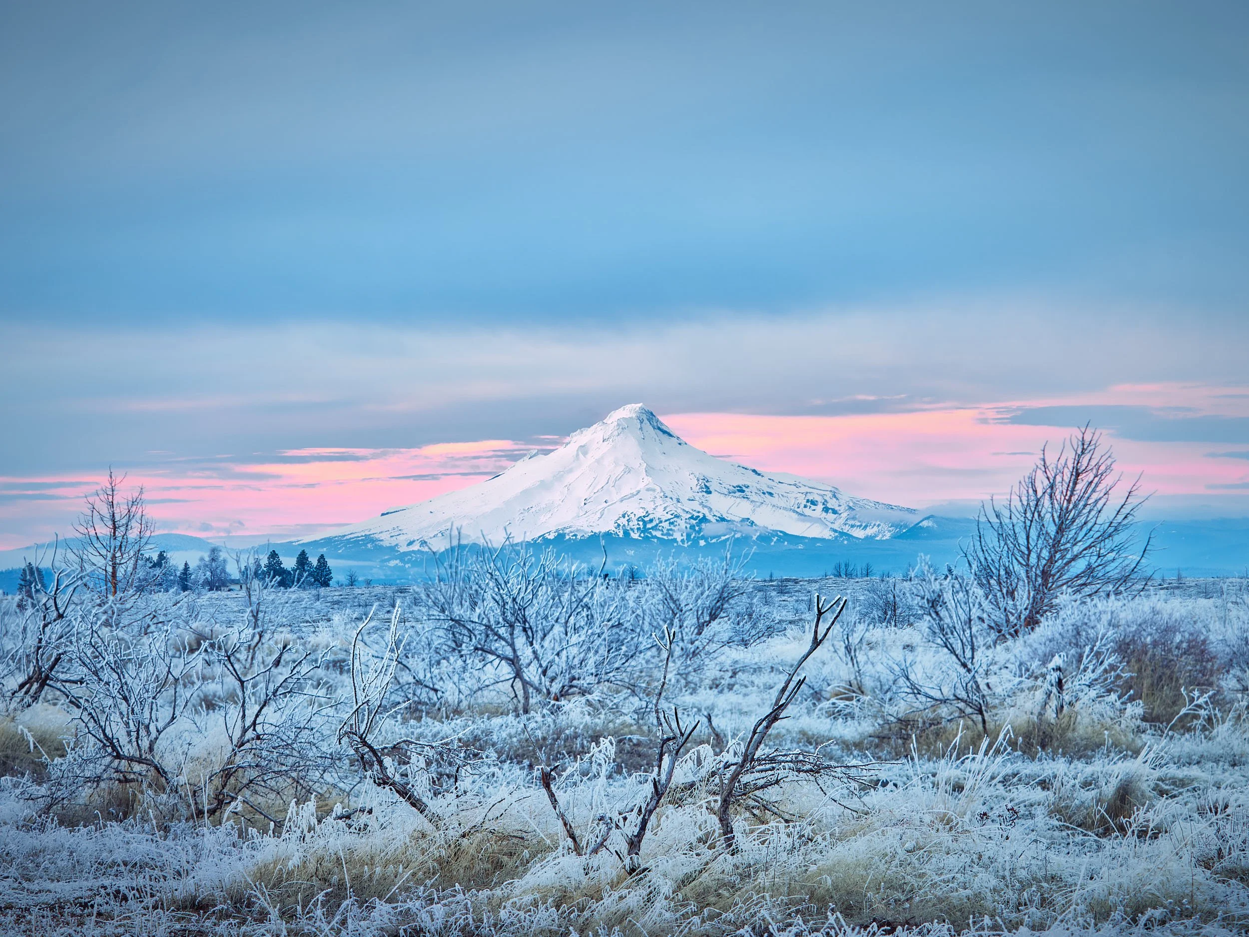 RALPH_DAUB-2023-01-03-173342-124156FS 1.jpg