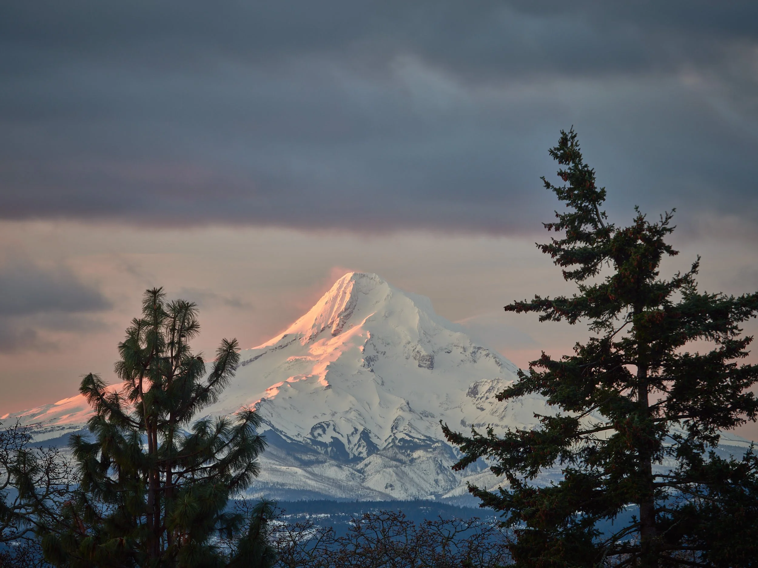 RALPH_DAUB-2023-01-19-083847-124191 1.jpg