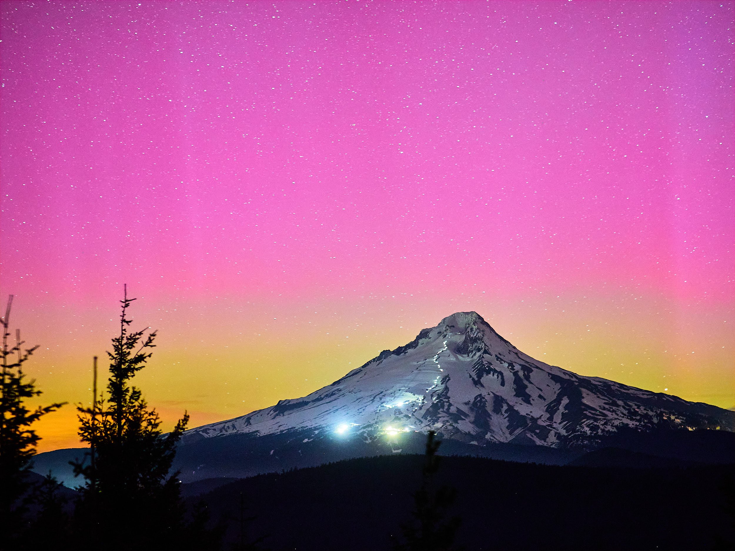 RALPH_DAUB-2023-05-20-033114-133748 1.jpg