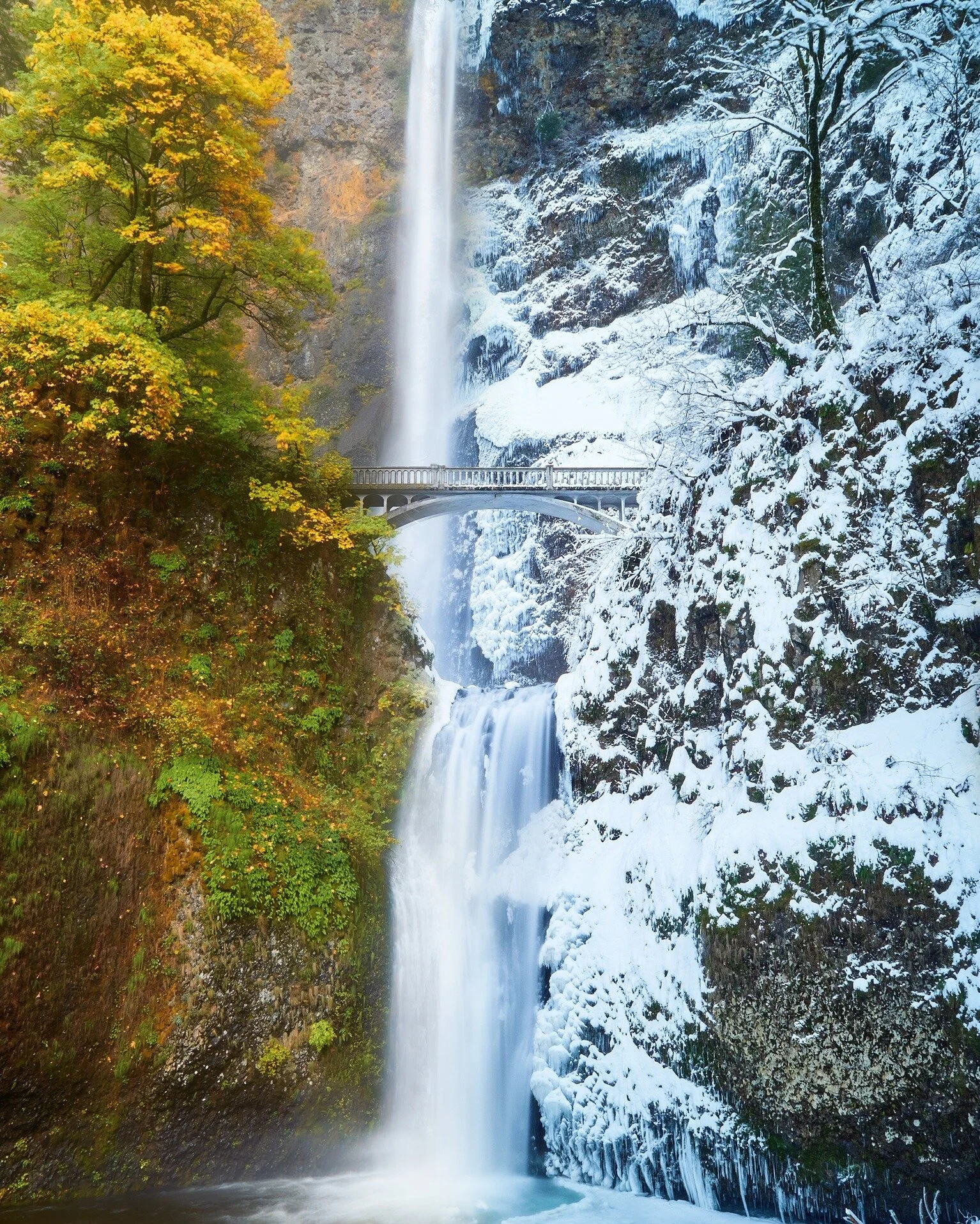 ❄ Winter is Coming ❄

Which do you like better?

🍁 Autumn Multnomah Falls, November, 2023
⛄ Winter Multnomah Falls, February, 2019

#washingtonhikes #washingtonstateparks #pacificnorthwest #hoodriverfruitloop #pnwlife #upperleftusa #washingtonphotog