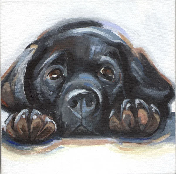 Black-Lab-Puppy.jpg